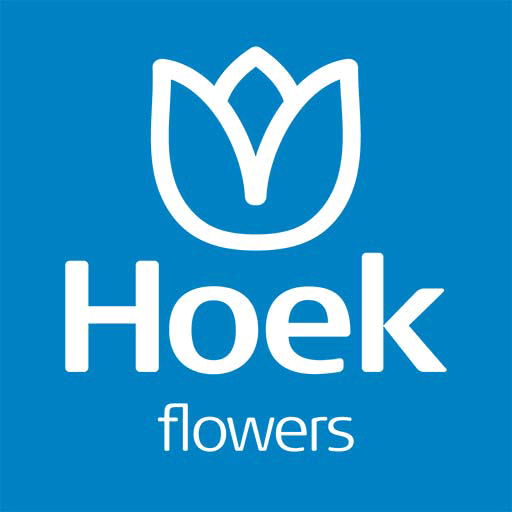 Hoek flowers